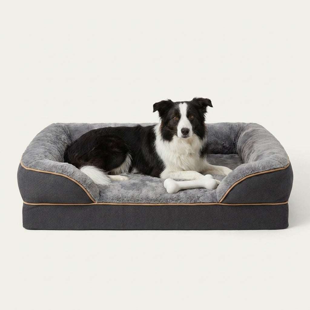 HaloNest Sofa Bed